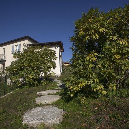 Villa Corbezzolo Luino Zewnętrze zdjęcie